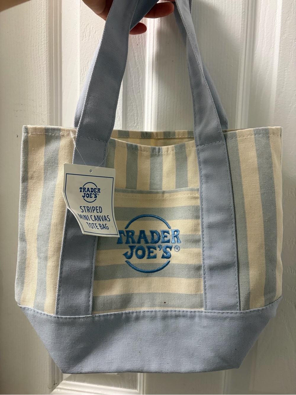 Blue & Cream Striped Canvas Tote Bag